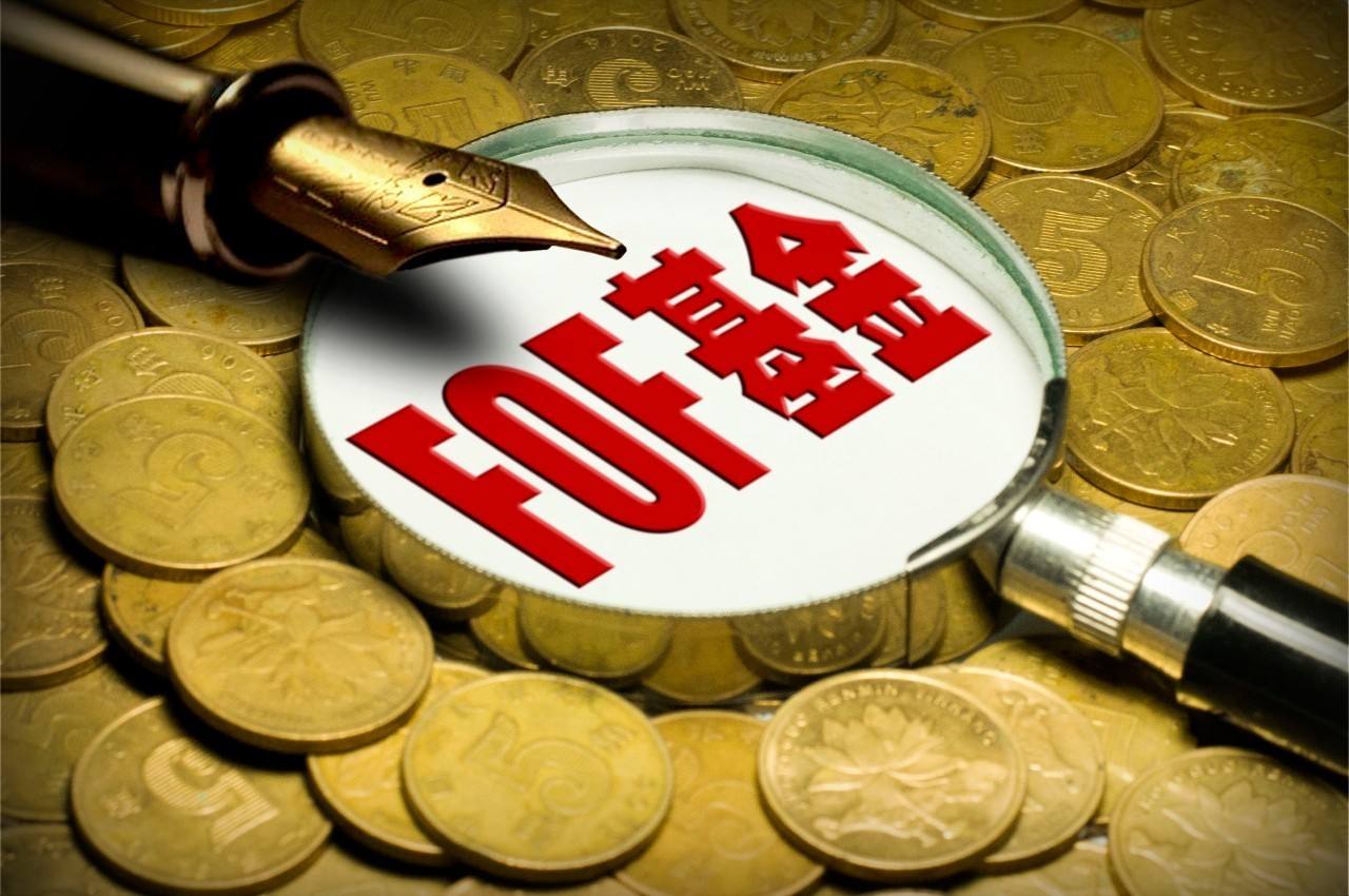 首批6只公募FOF产品平均收益率仅