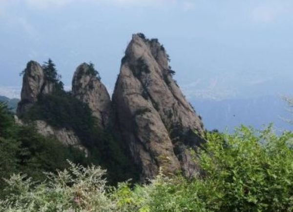 农业农村经济保持持续向好  稳中有进的态势
